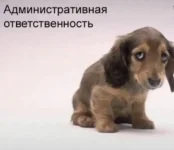 1000010532.webp