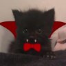 kiryshkxd